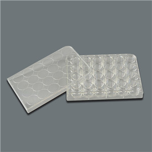 TM241 Microplates