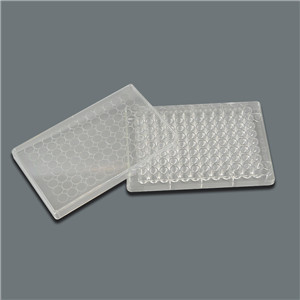 TM241 Microplates