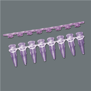 TM238-001 PCR Tube